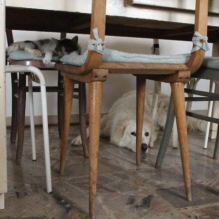 Casa Formica Leilighet San Pietro di Recanati Eksteriør bilde